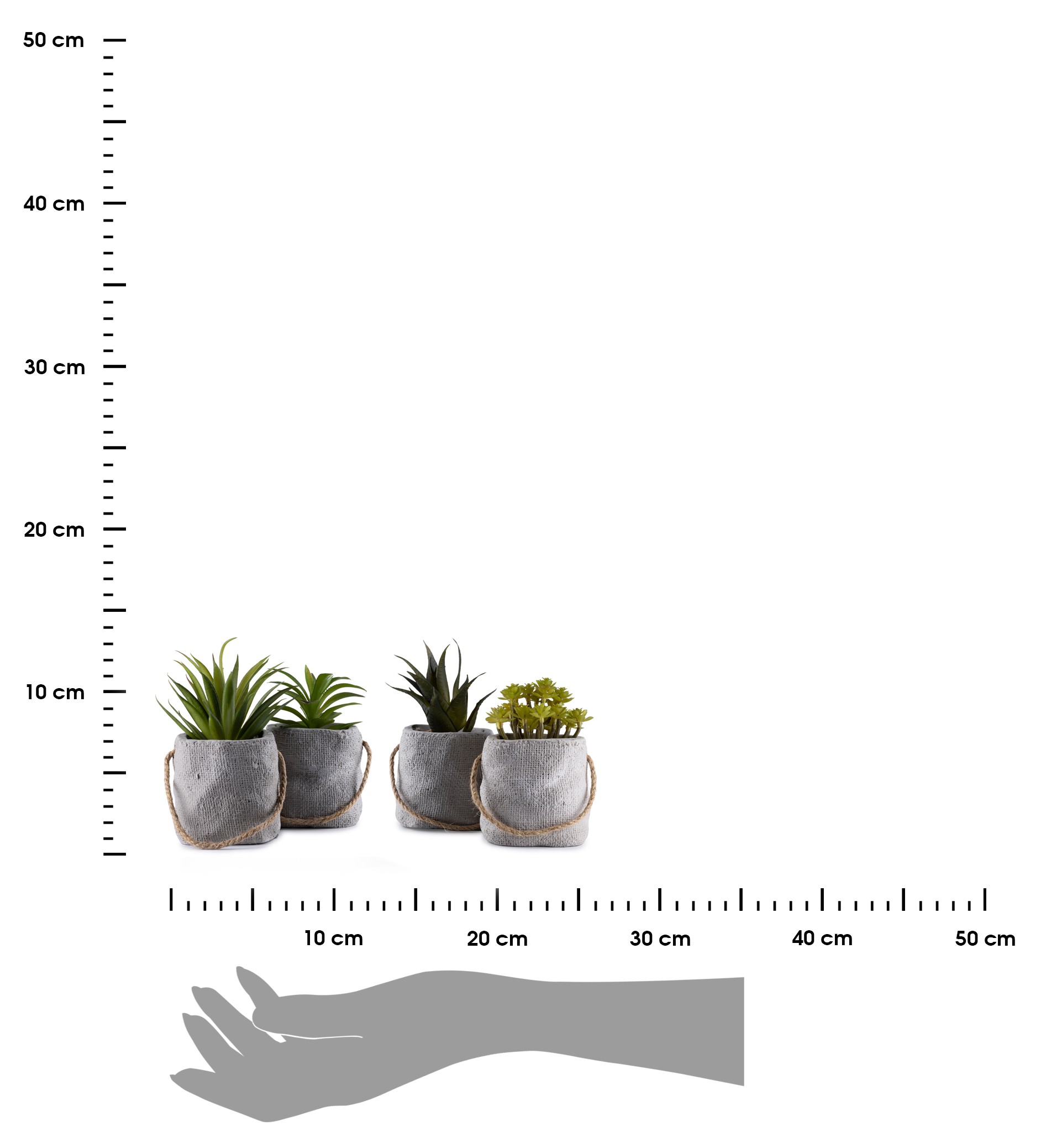 378245.jpg