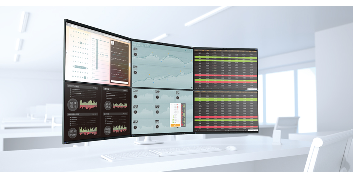 EIZO FlexScan EV2450