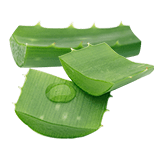 Aloes
