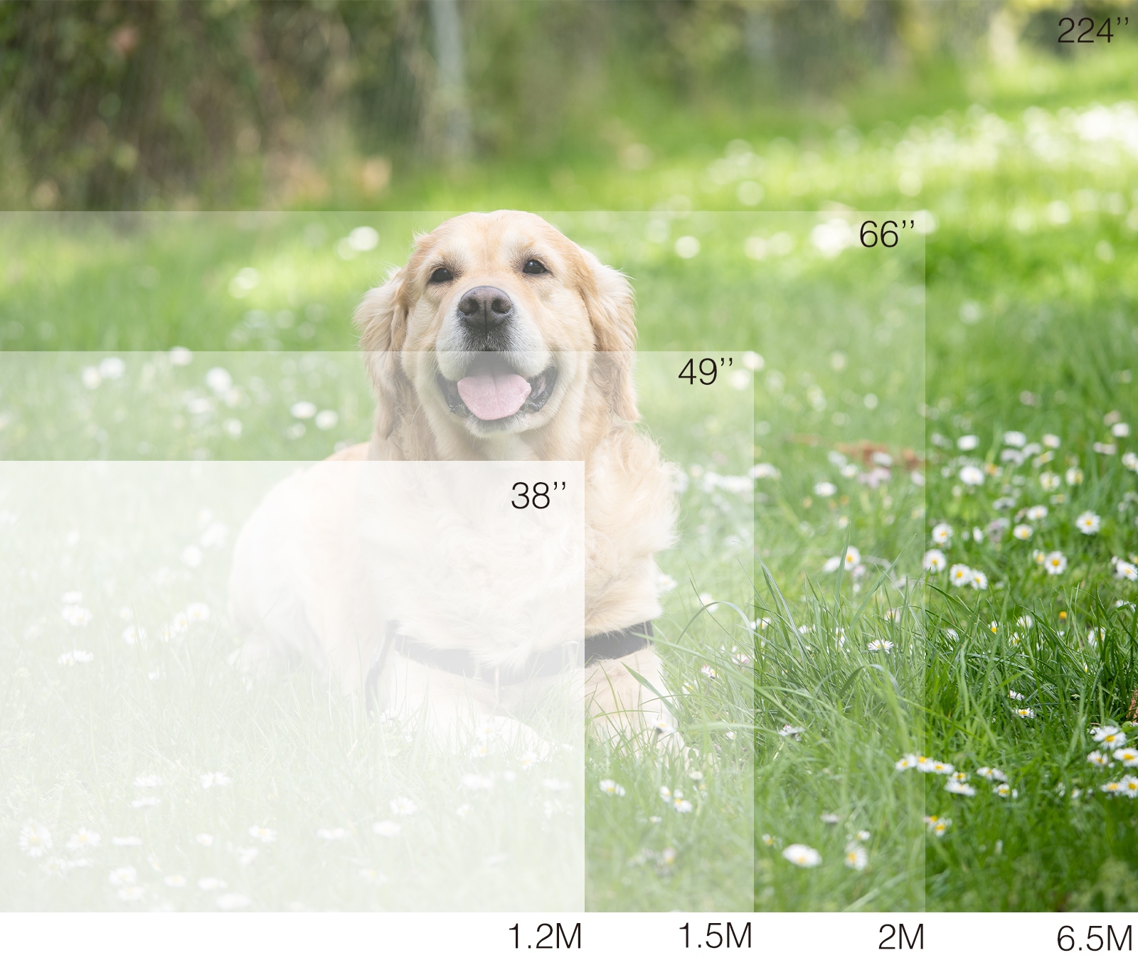 Projektor wideo oferuje rozmiar projekcji od 40