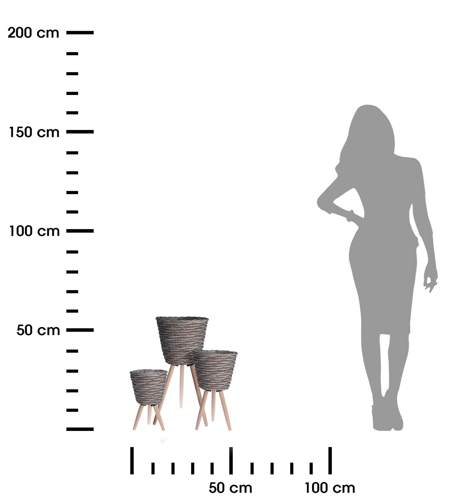 373953.jpg
