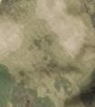 hdt-camo-fg.jpg