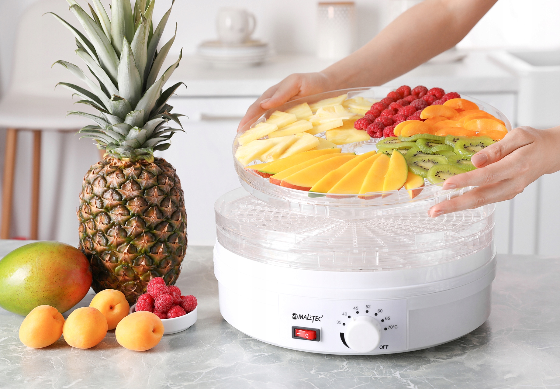 TACKA okrągłe SITO DO SUSZARKI SPOŻYWCZEJ 3 SZTUKi Waga produktu z opakowaniem jednostkowym 0.68 kg