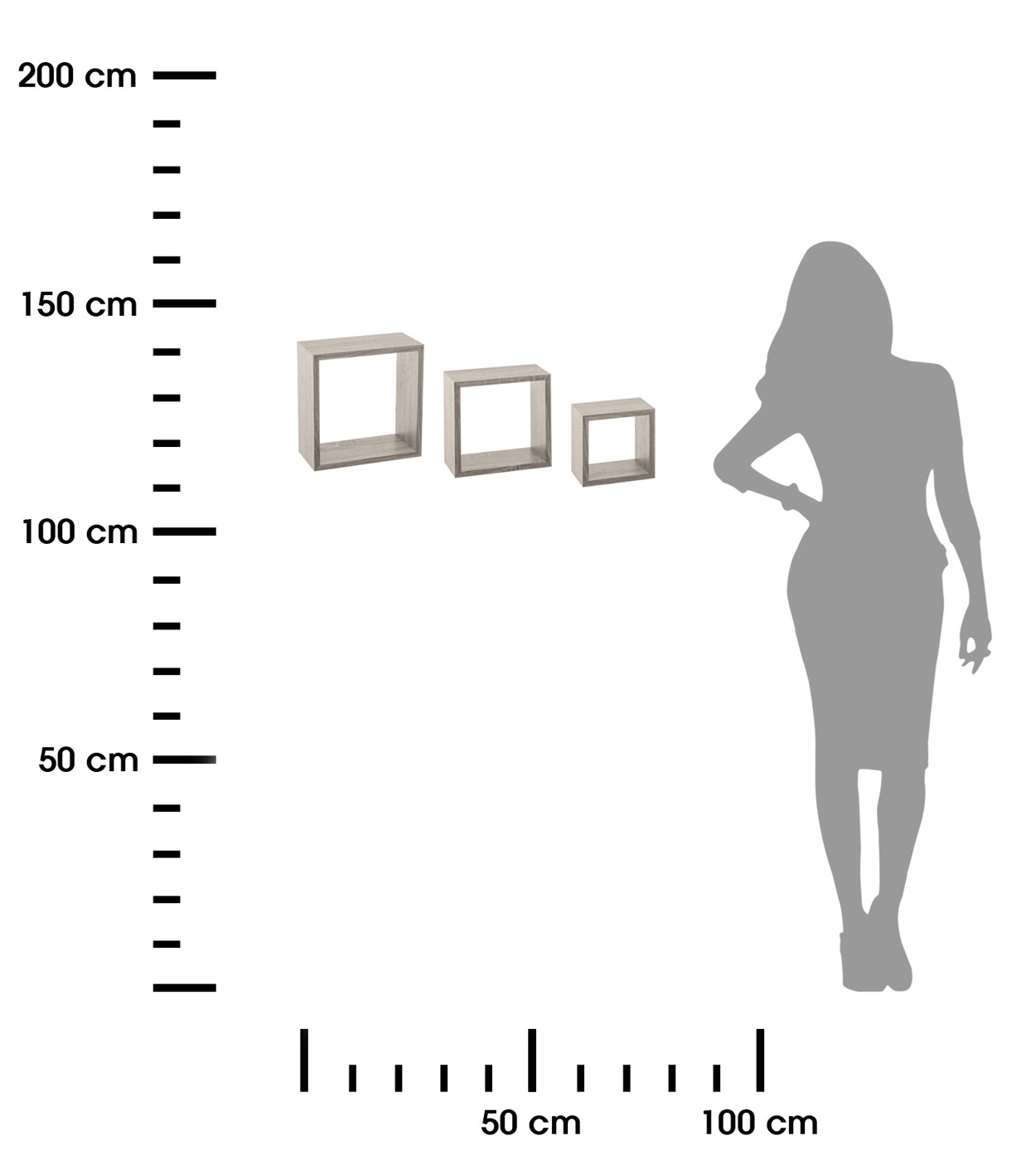 369870.jpg