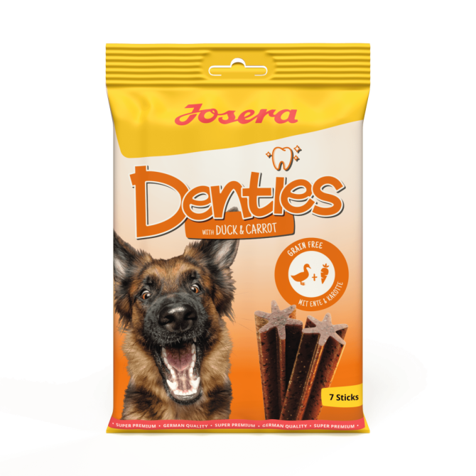 Denties z kaczką i marchewką