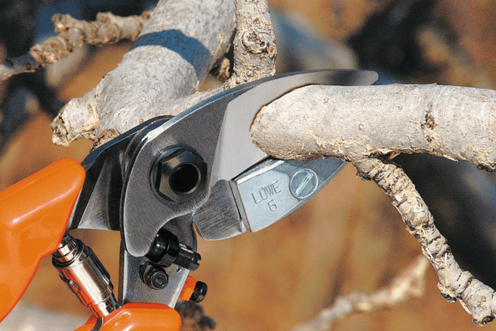 Sekator Lowe 6.107 w użyciu