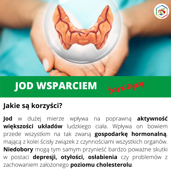 ddbf664d549707a42a61de7ad6d9bf01.png
