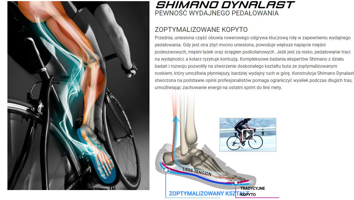 Shimano_Dynalast.JPG?v=1604308374328