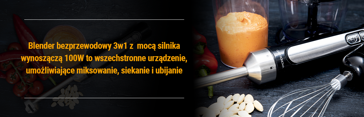 Gastronoma Blender bezprzewodowy 3w1 18210002