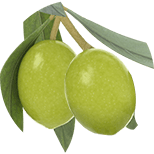 Oliwa
