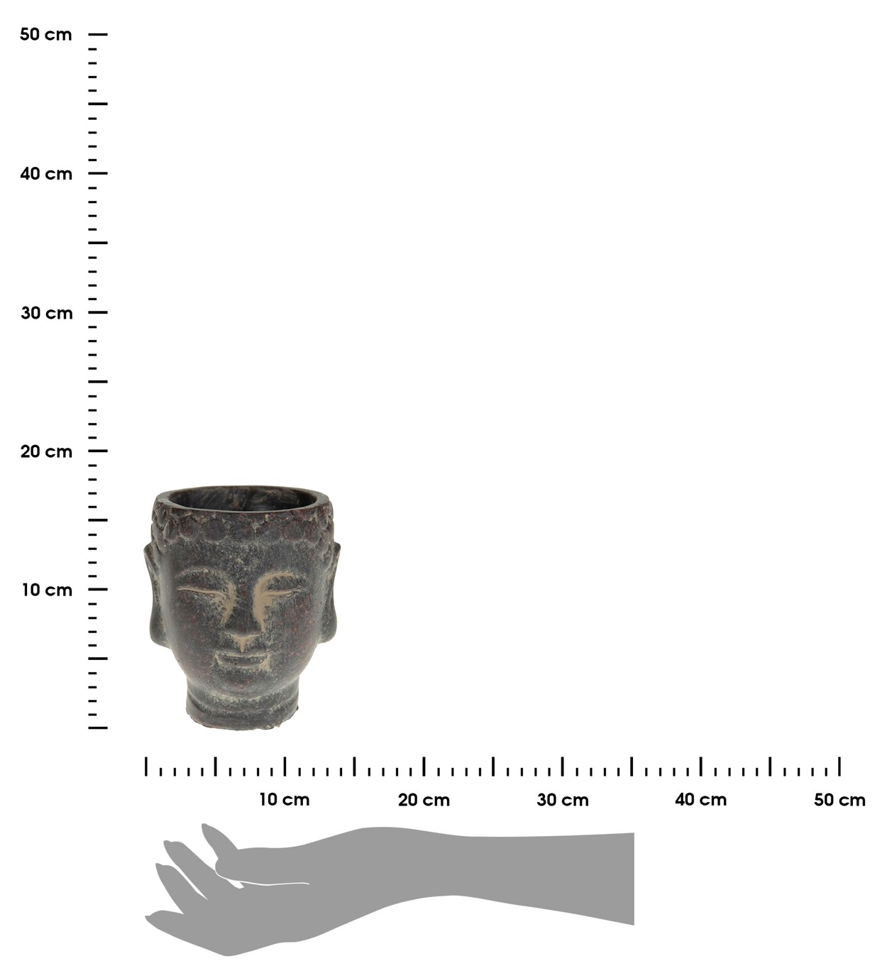 363922.jpg