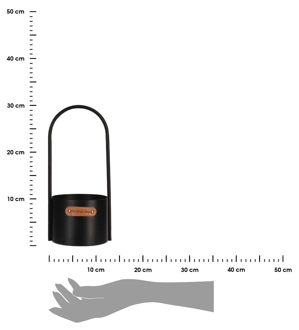 369609.jpg