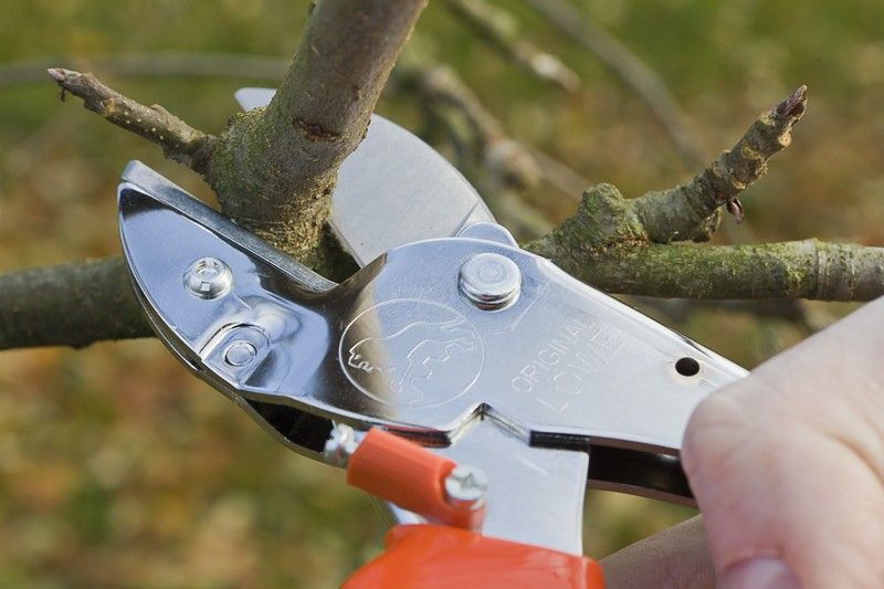 Sekator Lowe 1.109 w użyciu