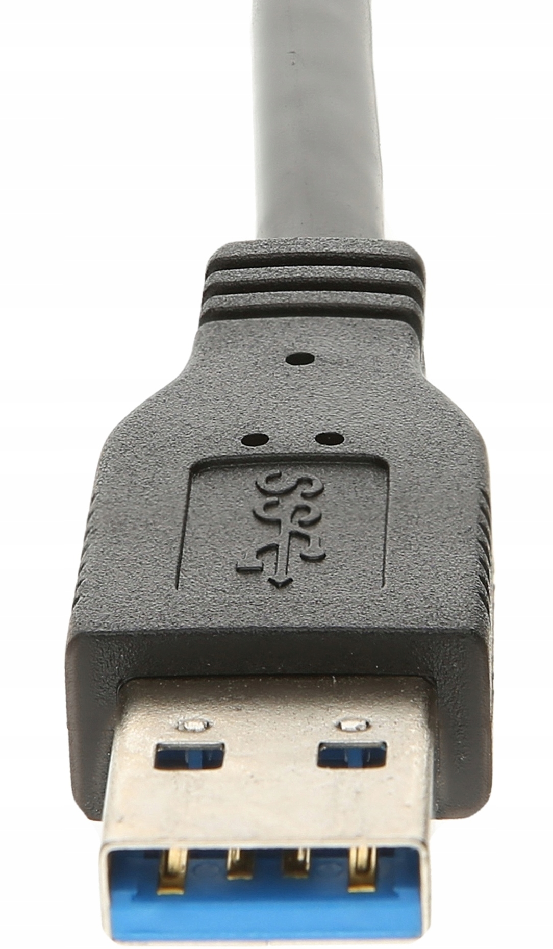 97190790_4.jpg