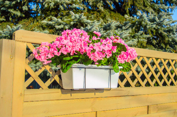 e01605a6b51941722fa13a84f29abf19.