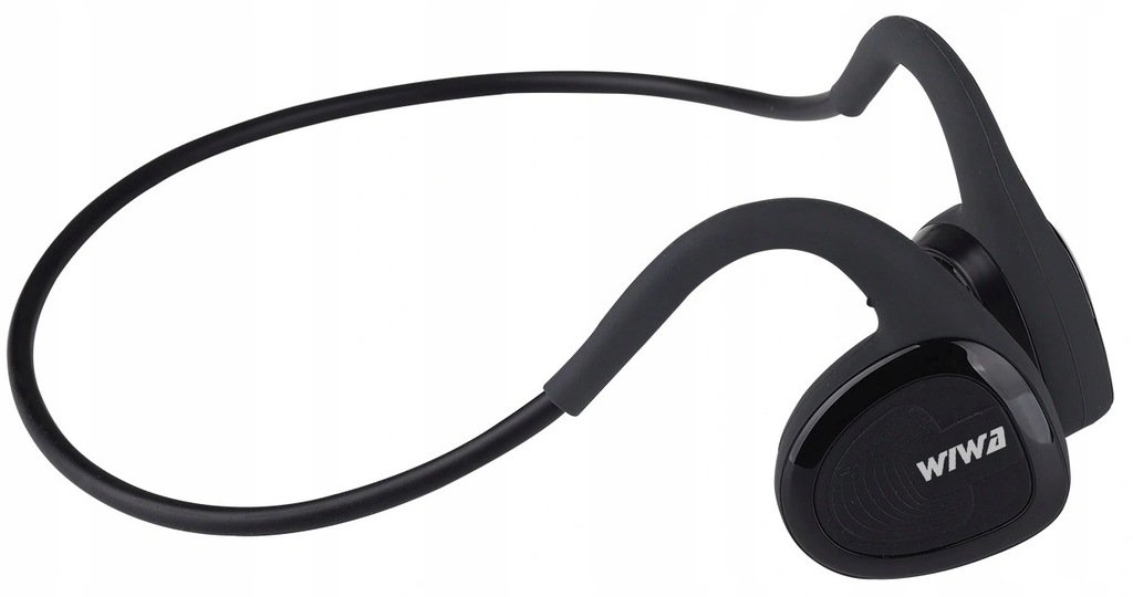 фото Навушники з мікрофоном Wiwa 10E Black