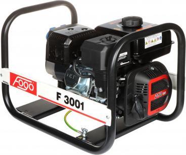 фото Бензиновий генератор Fogo F 3001