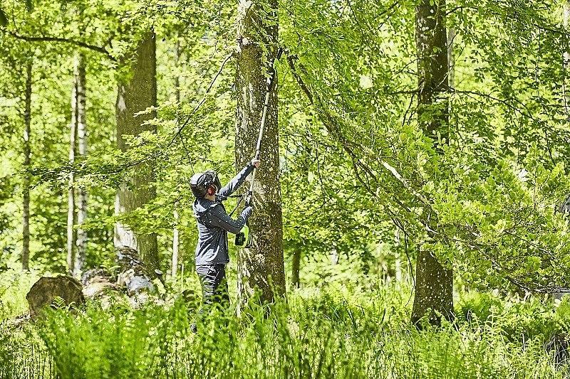 фото Висоторіз акумуляторний GreenWorks GD60PS25