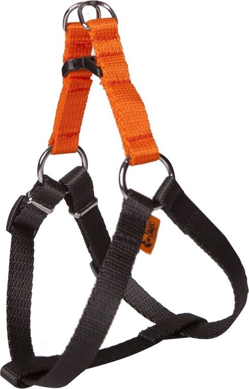 Dingo Fred Energy rozmiar 50 szer. 1.6 cm Pomarańczowe (94612)