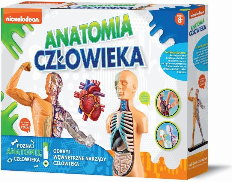 Anatomia człowieka