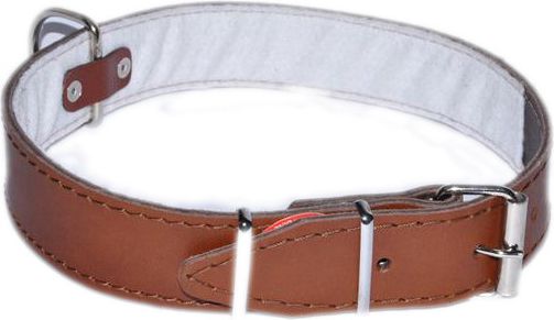 Dino Obroża skórzana Dino 40mm/67cm Brąz