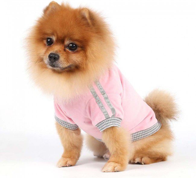 DoggyDolly Bluza Royal Divas z kapturem, różowa, 61-63cm/89-91cm