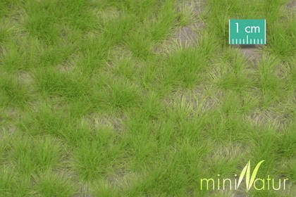 MiniNatur MiniNatur: Tuft - Długa wiosenna trawa 12 mm (8x15 cm)
