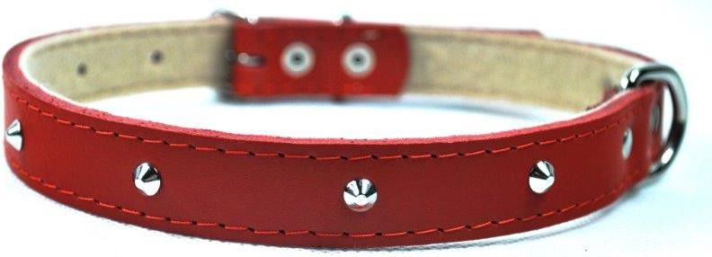 Chaba OBROŻA SKÓRZANA OZD 10mm/30cm CZERWONA