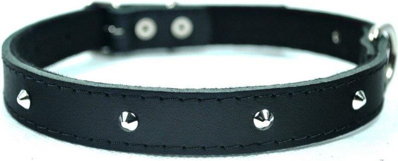 Chaba OBROŻA SKÓRZANA OZD 10mm/30cm CZARNA