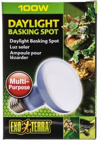 Hagen EXOTERRA ŻARÓWKA DAYLIGHT SPOT 75W