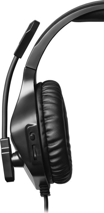 фото Навушники з мікрофоном Defender Rival Black (64565)