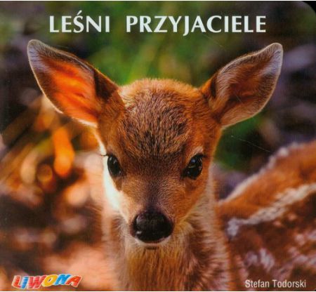 Poznajemy zwierzęta - Leśni przyjaciele (149271)