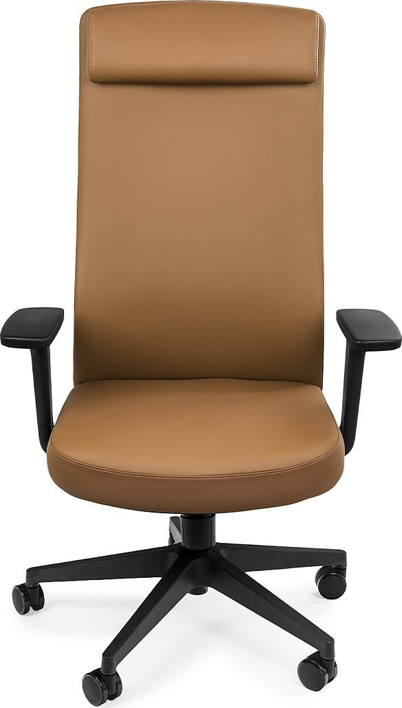 фото Офісне крісло Spacetronik Havard PU Brown