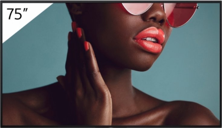 фото Інформаційний дисплей Sony FW-75BZ40L