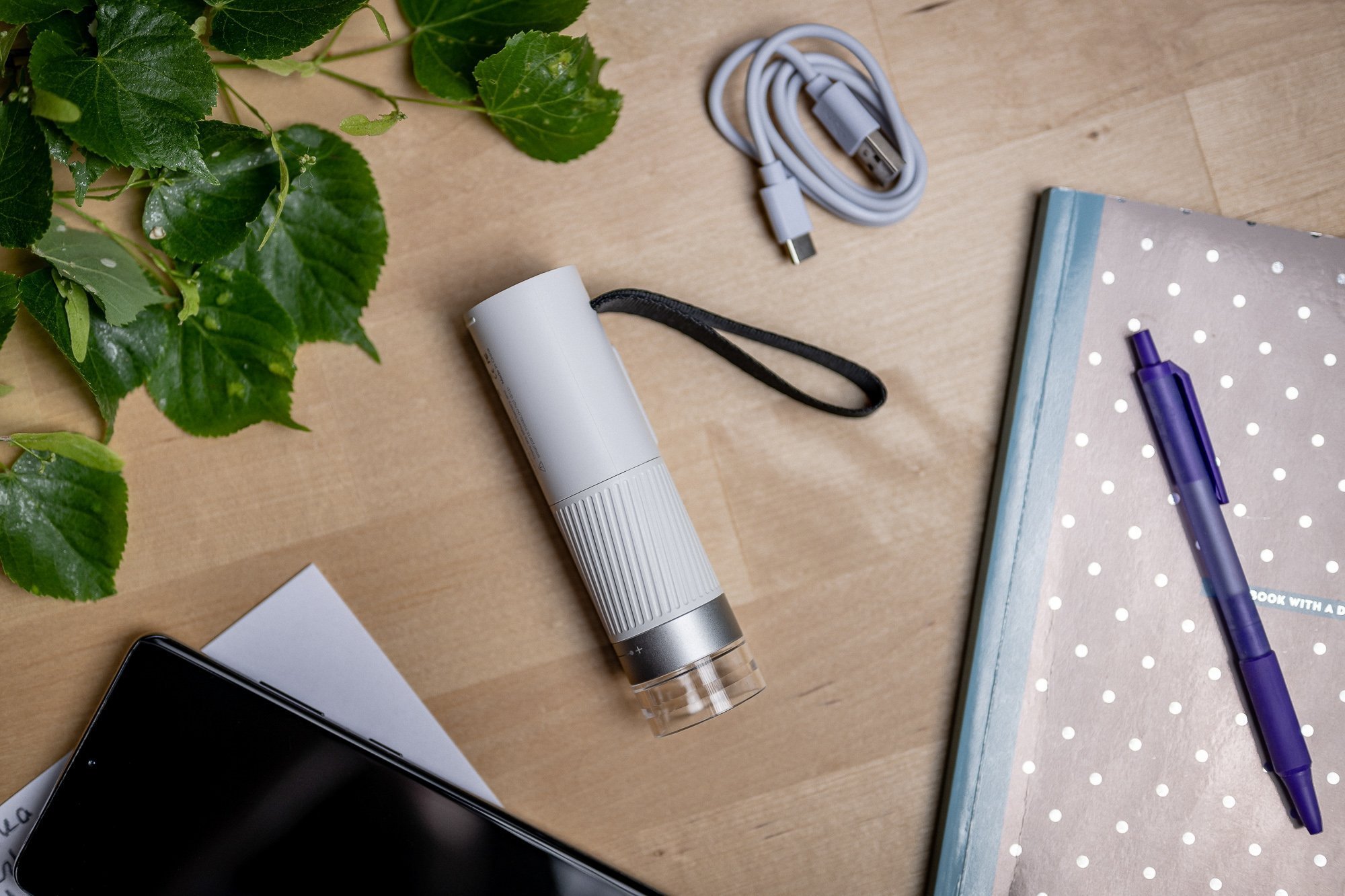 фото Мікроскоп цифровий BeaverLAB DDL-M1