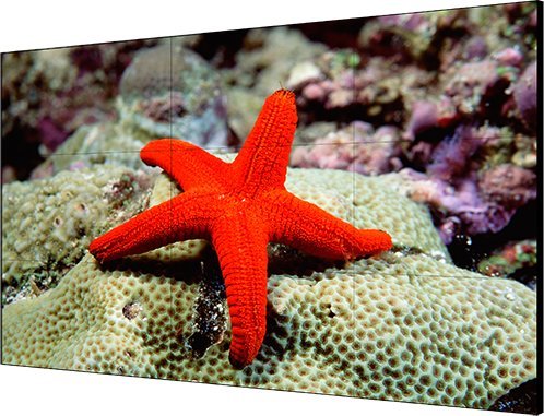 фото Інформаційний дисплей Hikvision DS-D2055LU-Y