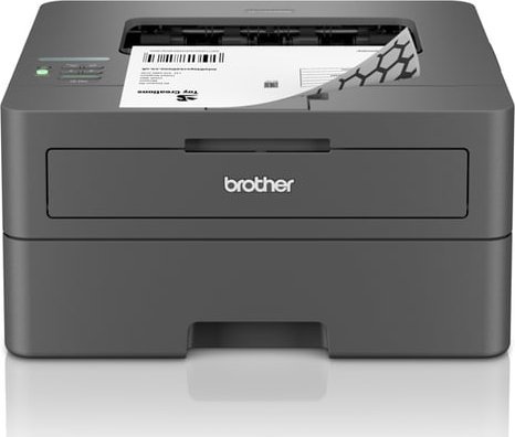 фото Принтер Brother HL-L2445DW (HLL2445DWRE1)