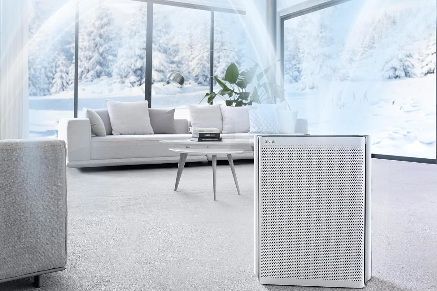 фото Очищувач повітря Levoit Everest Air