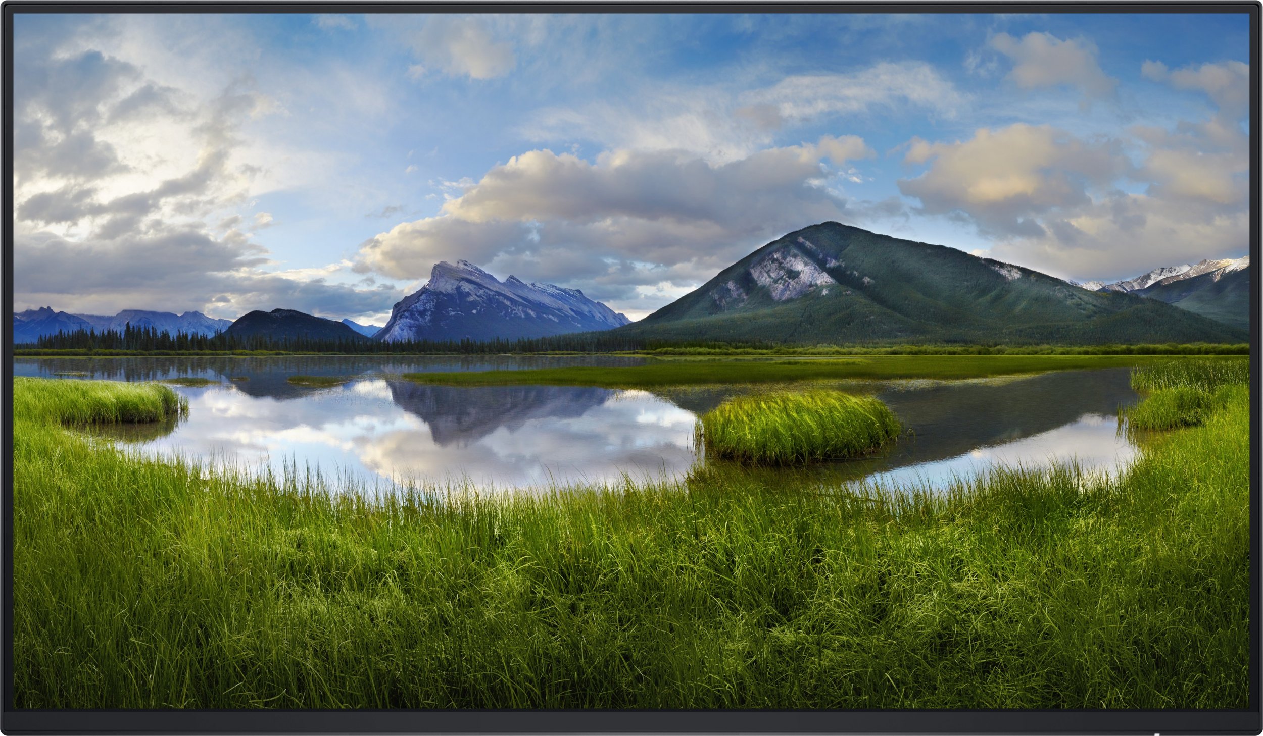 фото Інформаційний дисплей Dell P2425H (210-BMTB)