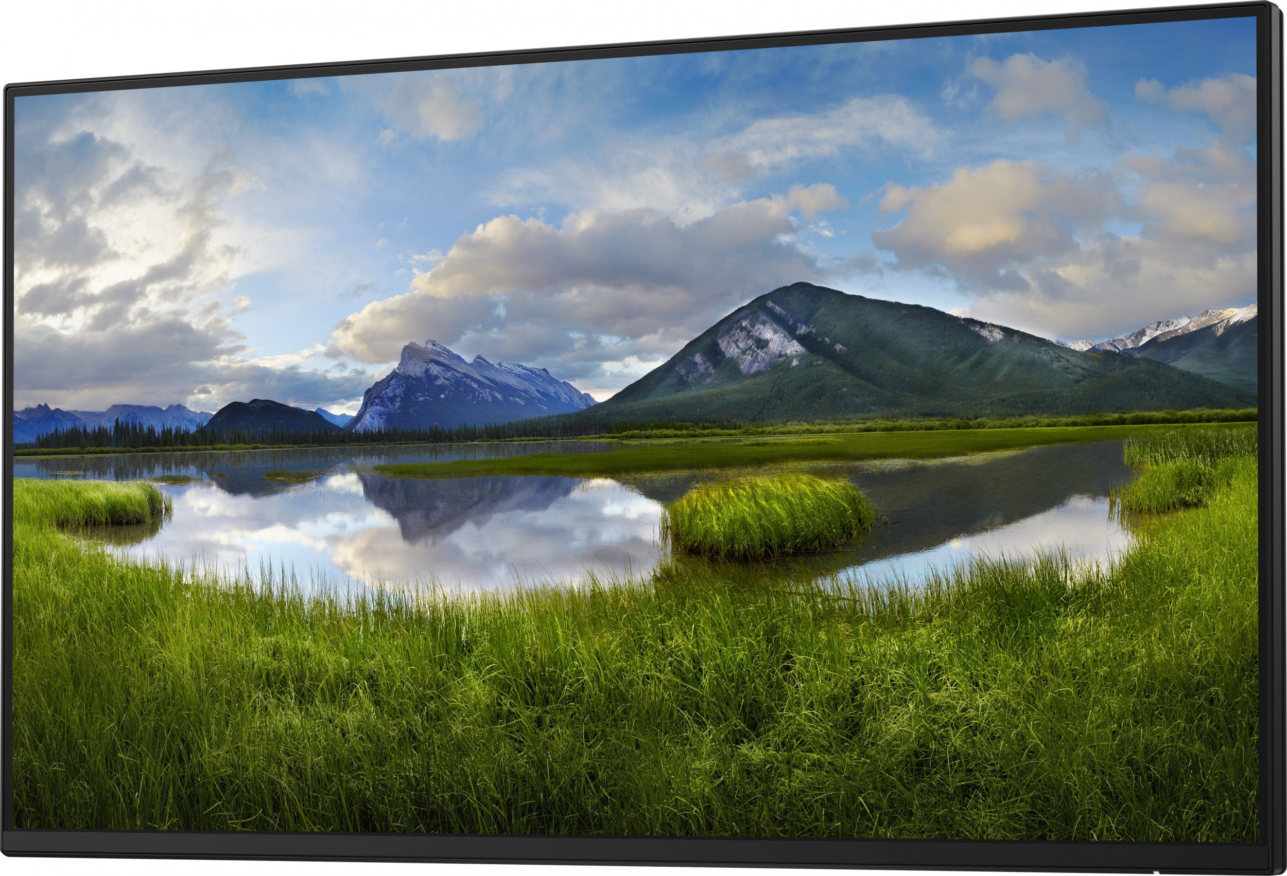 фото Інформаційний дисплей Dell P2425H (210-BMTB)