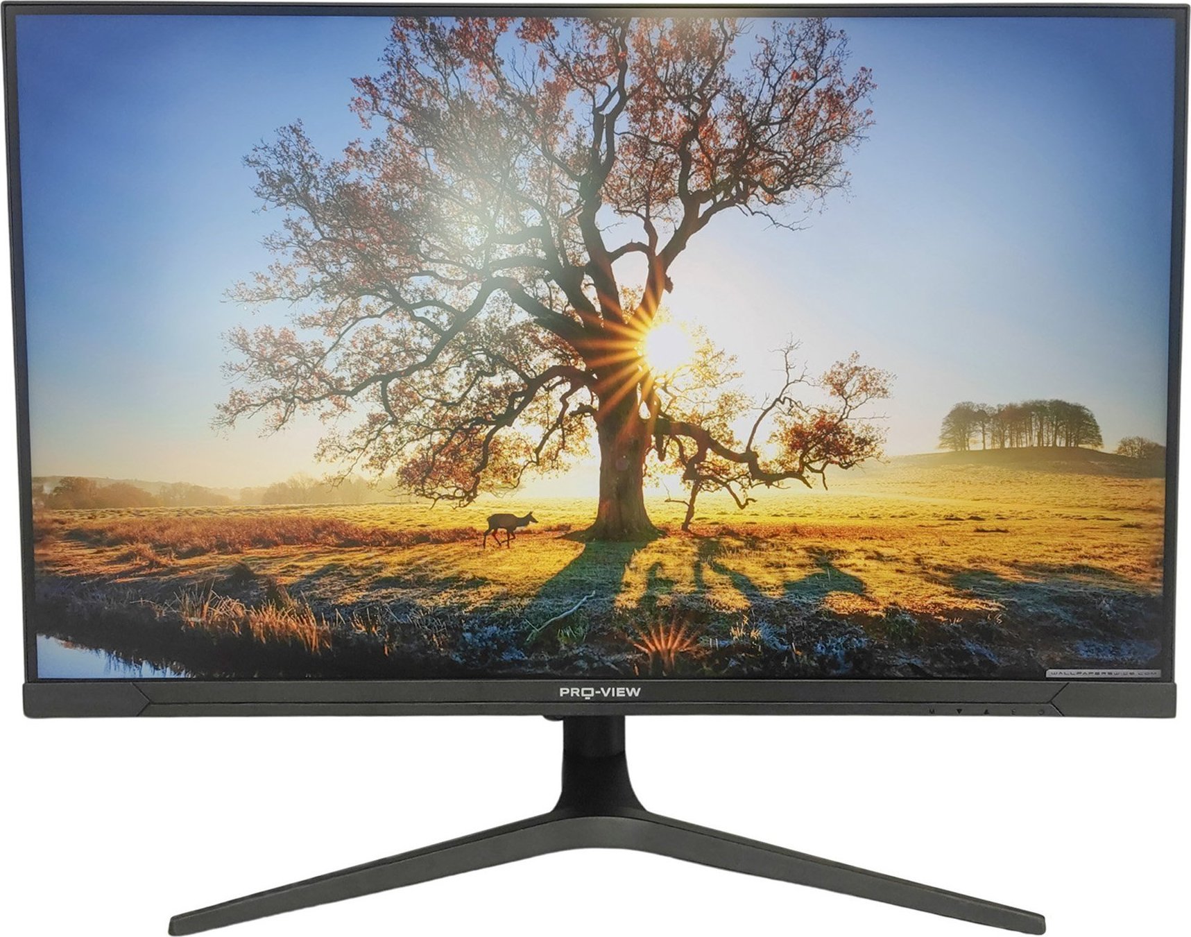 фото Монітор Pro-View MD-F3201