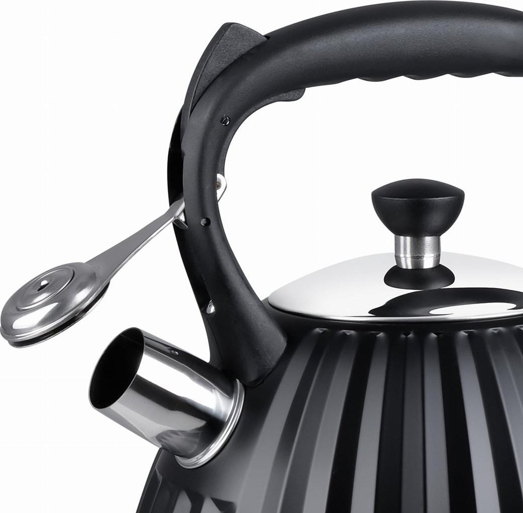 фото Чайник Promis TMC25