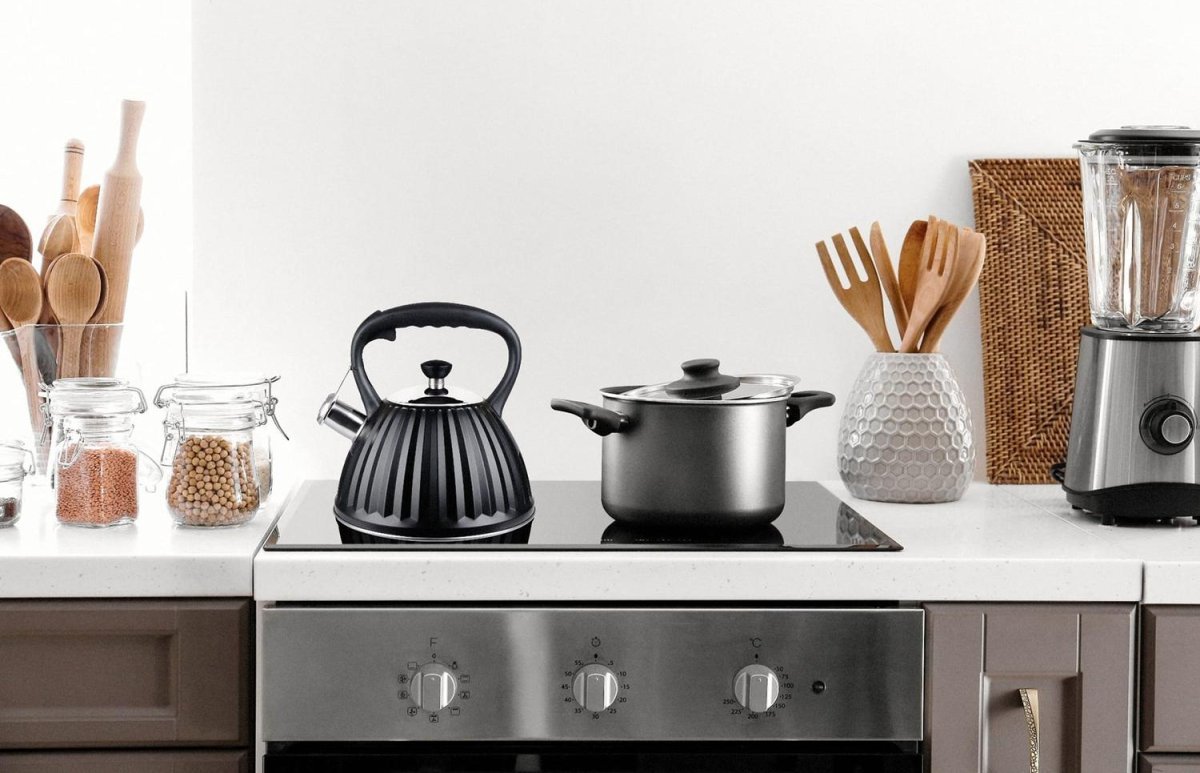 фото Чайник Promis TMC25