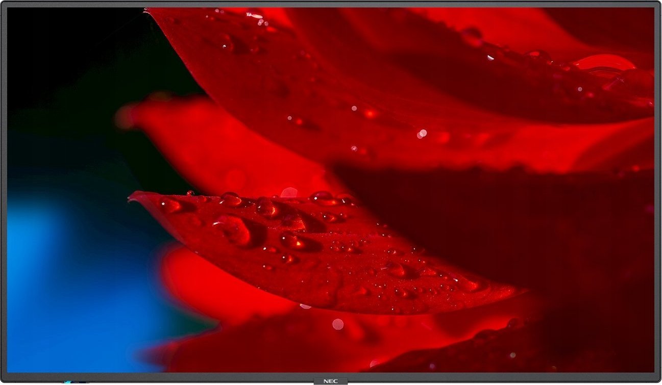 фото Інформаційний дисплей NEC MultiSync MA431