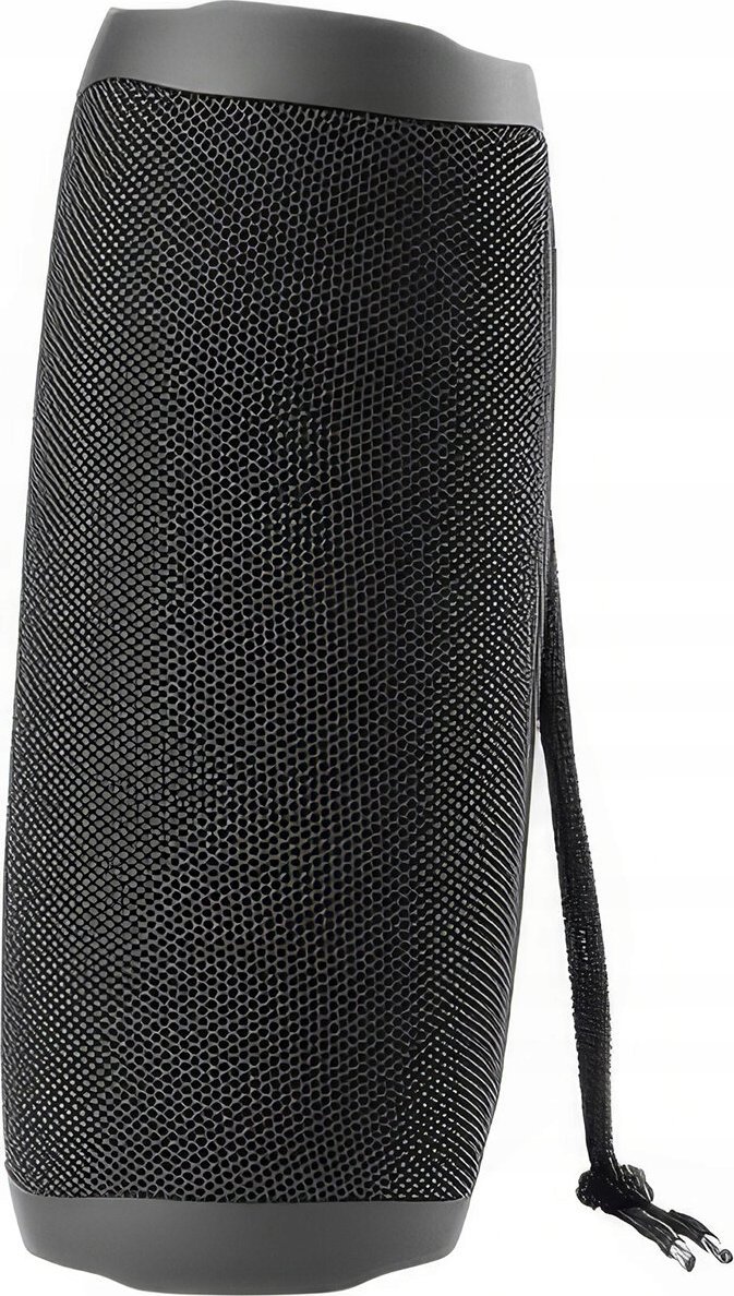 фото Портативна колонка Streetz S350 Black