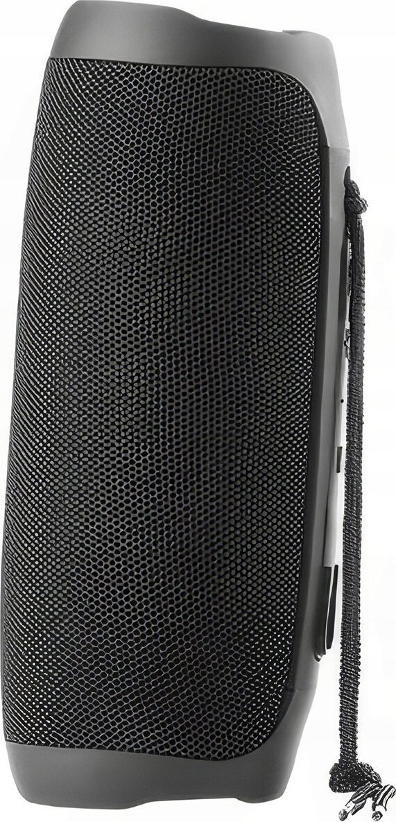 фото Портативна колонка Streetz S350 Black