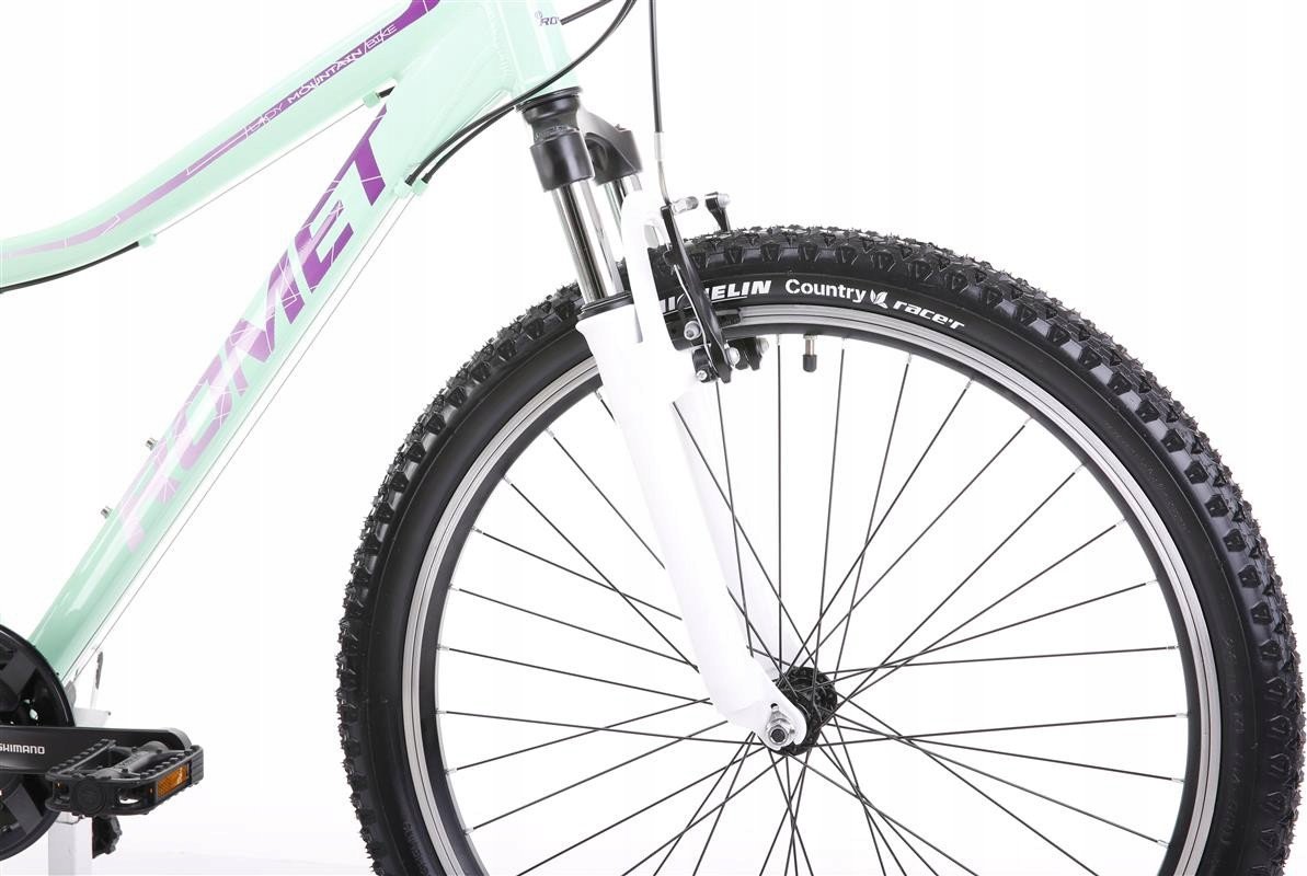 фото Велосипед гірський (МТБ) Romet Jolene 6.1 2024 L Green/Purple