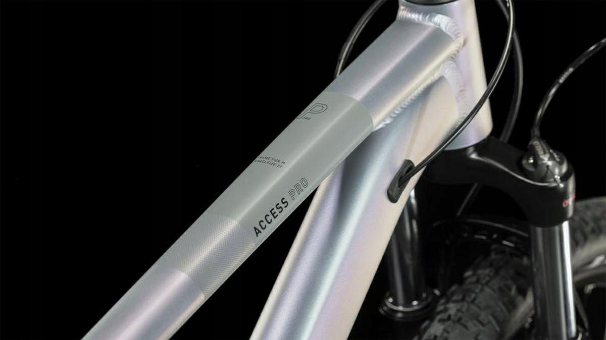 фото Велосипед гірський (МТБ) Cube Access WS Pro 29 2023 L Black