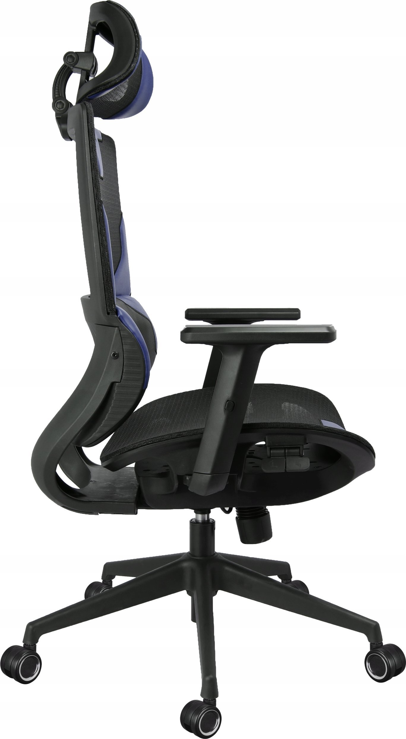 фото Офісне Крісло Cortek Vision Black-Blue