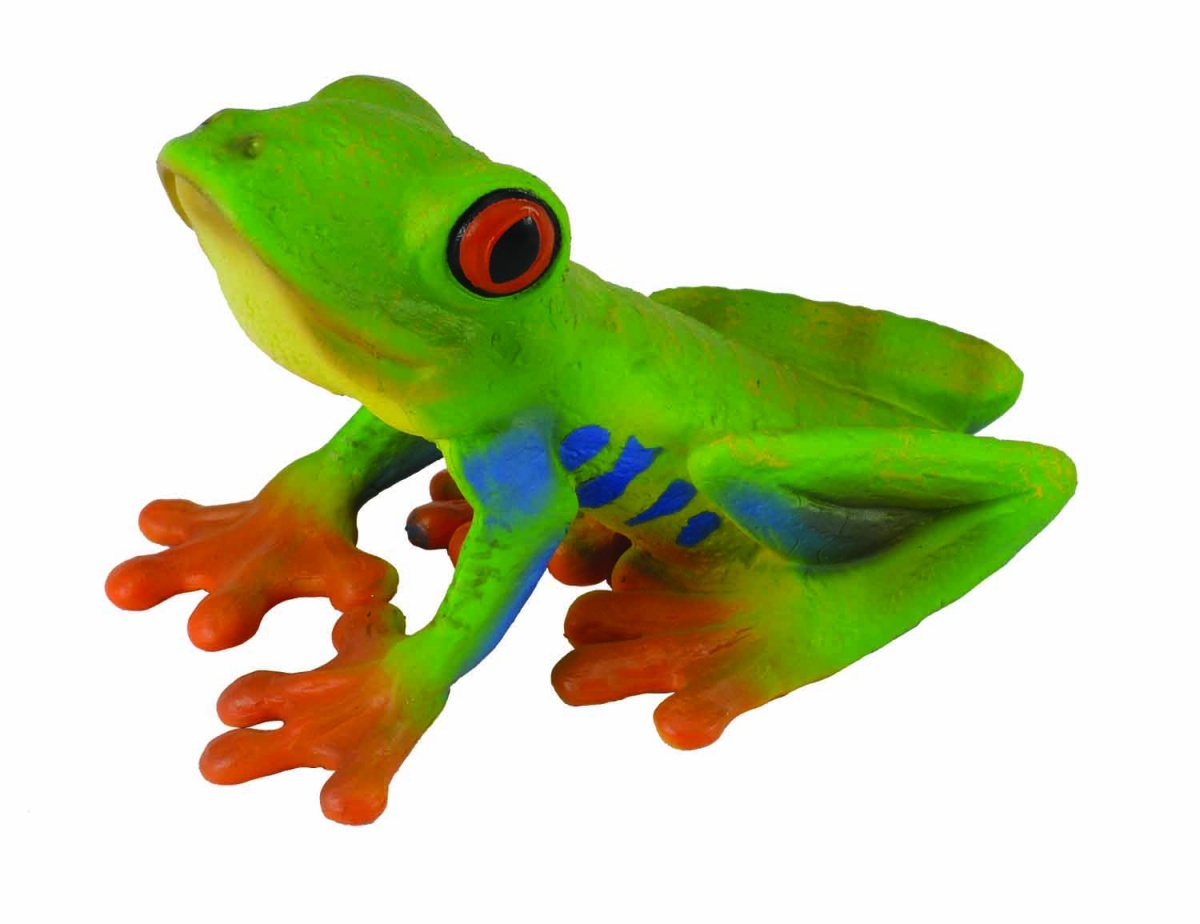 Figurka Collecta Żaba czerwonooka rzekotka drzewna (004-88386)